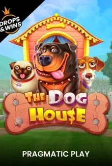 The Dog House